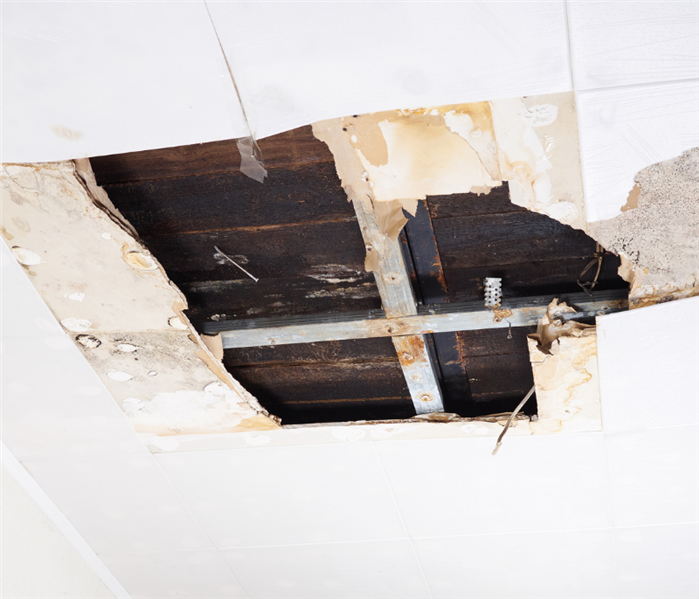 leak in ceiling, ceiling water damage repair near me fairfield, ct