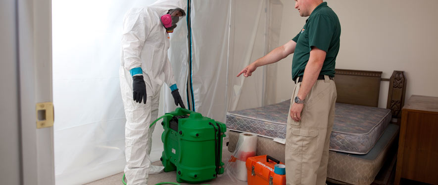 Westport, CT mold removal process